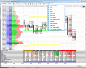 MarketBalance Additional NinjaTrader chart menu, select which of the bottom totals values to display